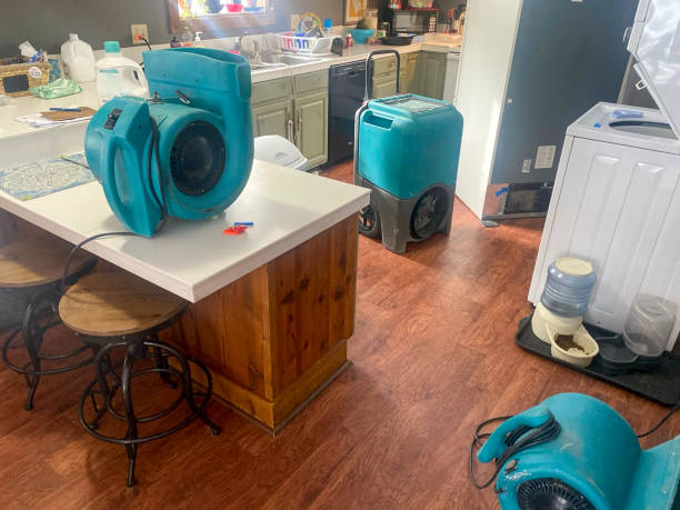 Best Local water damage restoration  in Rusk, TX