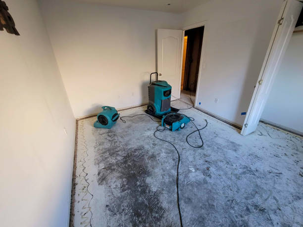 Water damage restoration experts in Rusk, TX