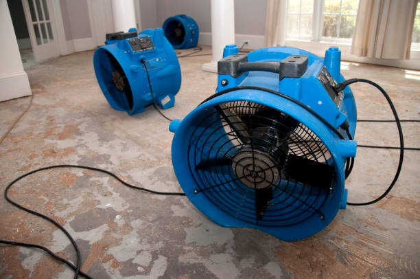 Best Commercial water damage restoration  in Rusk, TX