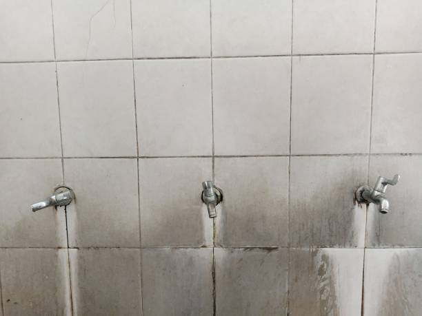 Best Water damage restoration mold remediation  in Rusk, TX